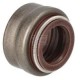 Uszczelniacz oleju 5801663526FPT | Exvi