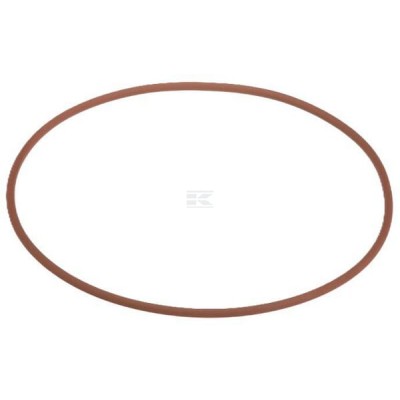 Pierścień uszczelniający o-ring 17292581FPT | Exvi