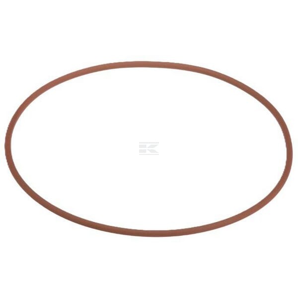 Pierścień uszczelniający o-ring 17292581FPT | Exvi