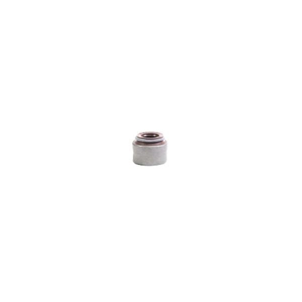 Uszczelniacz oleju 5801663519FPT | Exvi