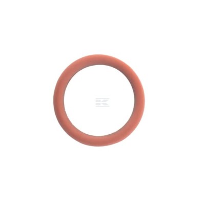 Pierścień uszczelniający o-ring 17288681FPT | Exvi