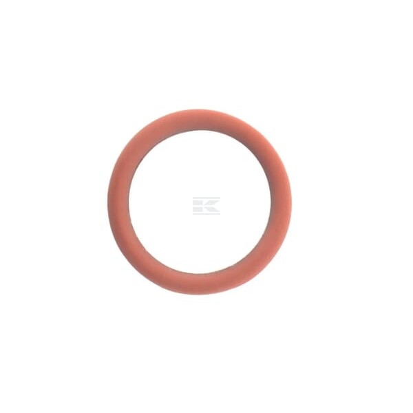 Pierścień uszczelniający o-ring 17288681FPT | Exvi