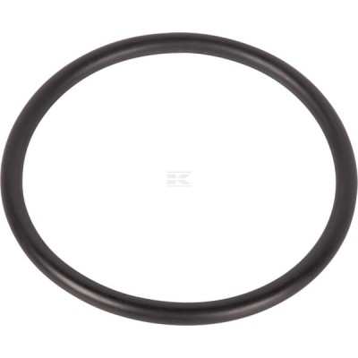 Pierścień uszczelniający o-ring 9800643 | Exvi