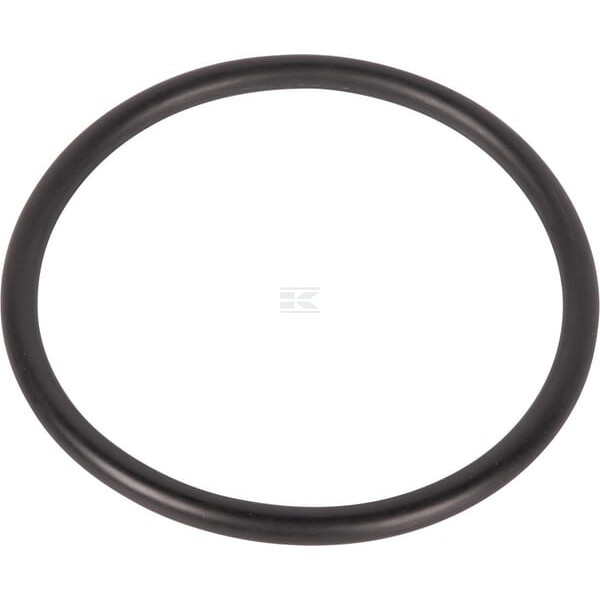 Pierścień uszczelniający o-ring 9800643 | Exvi