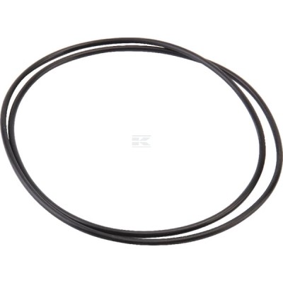 Pierścień uszczelniający o-ring hamulca 3617901M2N | Exvi
