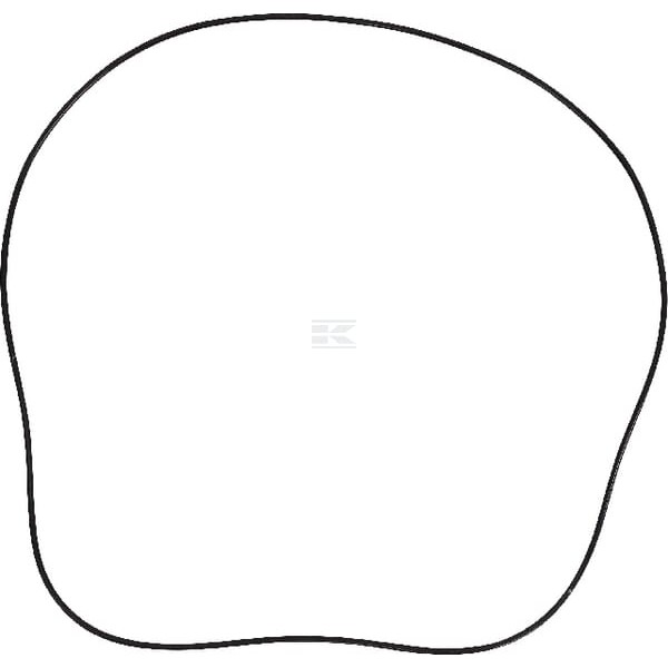 O-ring hamulca MF 3617902 | Exvi