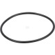 Pierścień uszczelniający o-ring 1004633M1KR | Exvi