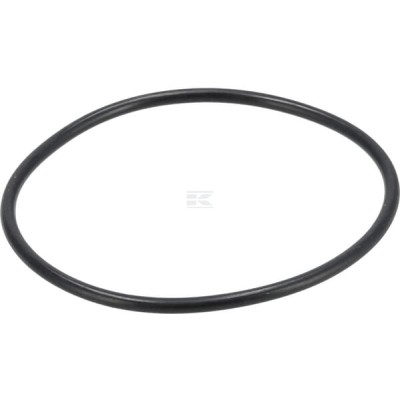 Pierścień uszczelniający o-ring 1004633M1KR | Exvi