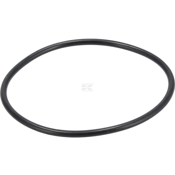 Pierścień uszczelniający o-ring 1004633M1KR | Exvi