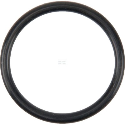 Pierścień uszczelniający o-ring pompy wody V614602930 | Exvi