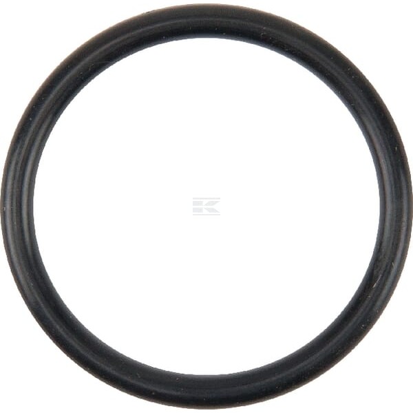 Pierścień uszczelniający o-ring pompy wody V614602930 | Exvi