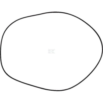 Pierścień uszczelniający O-ring pompki 4301296 | Exvi