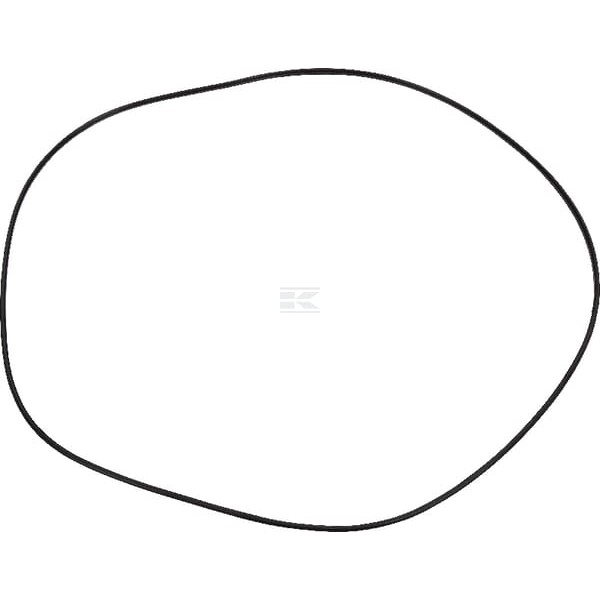 Pierścień uszczelniający O-ring pompki 4301296 | Exvi