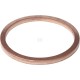 Uszczelka termostatu X540008278000 | Exvi