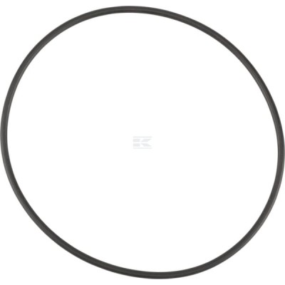 Uszczelniacz oleju X548987066000 | Exvi