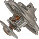 Termostat ACW2170430 | Exvi