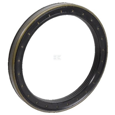 Uszczelniacz oleju H822100150040 | Exvi