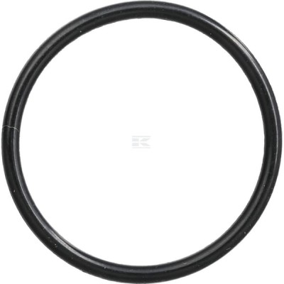 Pierścień uszczelniający o-ring CI028532 | Exvi