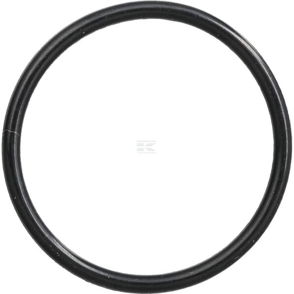 Pierścień uszczelniający o-ring CI028532 | Exvi