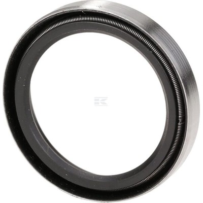 Uszczelniacz oleju 883935M4GP | Exvi