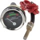 Wskaźnik temperatury VPM5503 | Exvi