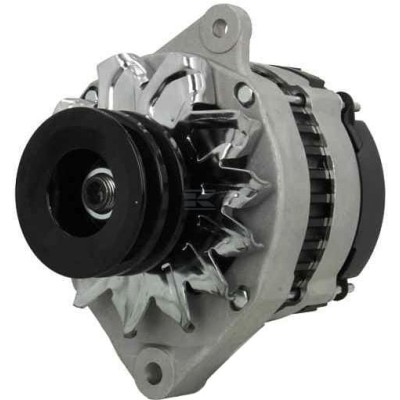 Alternator 14V 65A ALT2625182 | Exvi