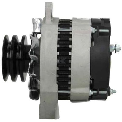Alternator 14V 65A ALT2625182 | Exvi