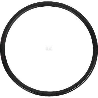 O-ring MF 3009744 | Exvi
