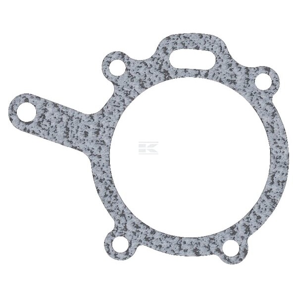 Uszczelka pompy wody 4222457 | Exvi