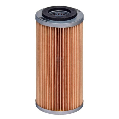 Filtr oleju E1055HD609 | Exvi