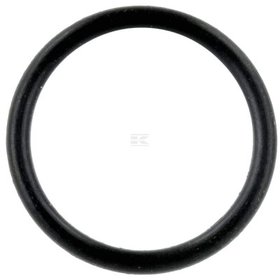 Pierścień uszczelniający o-ring, wtryskiwacza 4225847 | Exvi