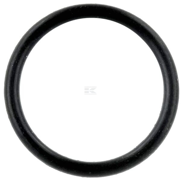 Pierścień uszczelniający o-ring, wtryskiwacza 4225847 | Exvi