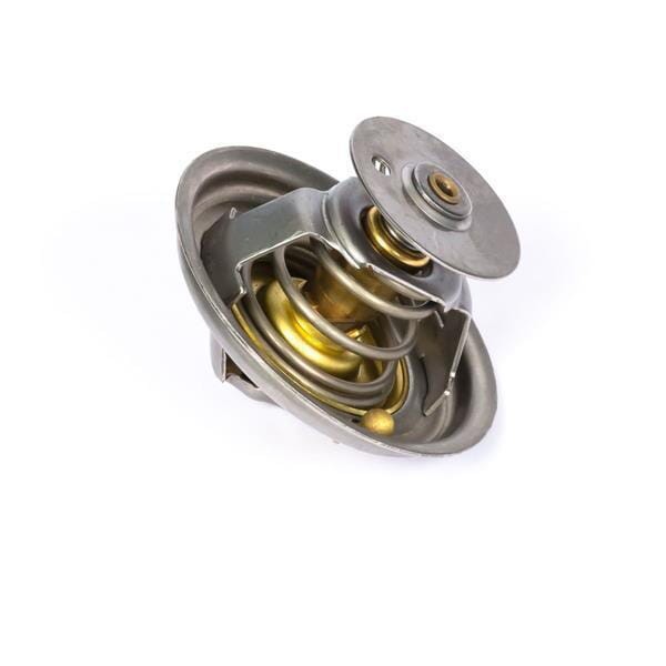 Termostat 2485C036 | Exvi