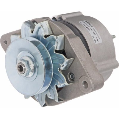Alternator 14V 33A IA0095 | Exvi