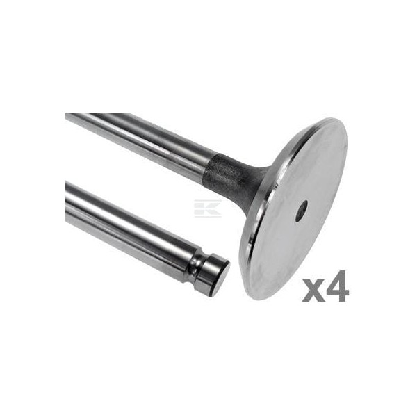 Zawór ssący Vapormatic (x4) VPA1054 | Exvi