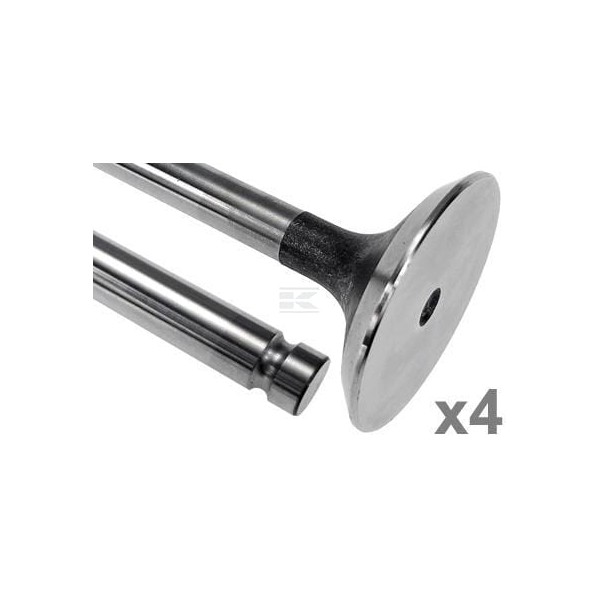 Zawór wydechowy Vapormatic (x4) VPA1064 | Exvi