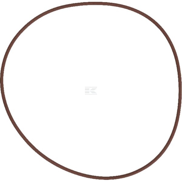 O-ring hamulca MF 215391770 | Exvi