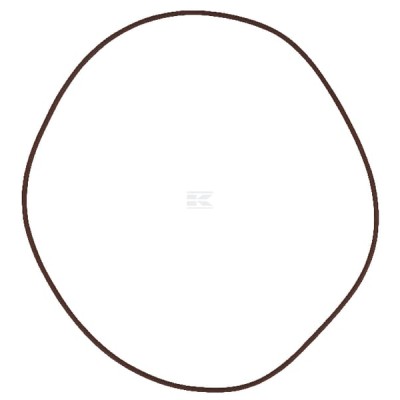 O-ring hamulca MF 215391180 | Exvi