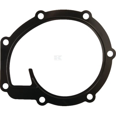 Uszczelka pompy wody 4225204 | Exvi