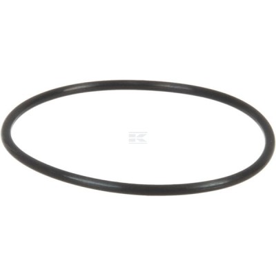 Uszczelka pompy paliwowej MF 70923816 | Exvi