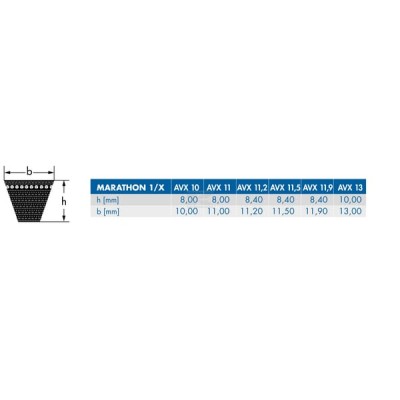 Pas klinowy uzębiony Optibelt, AVX 13x1275 AVX131275 | Exvi