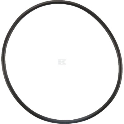 Uszczelka termostatu 4223842 | Exvi