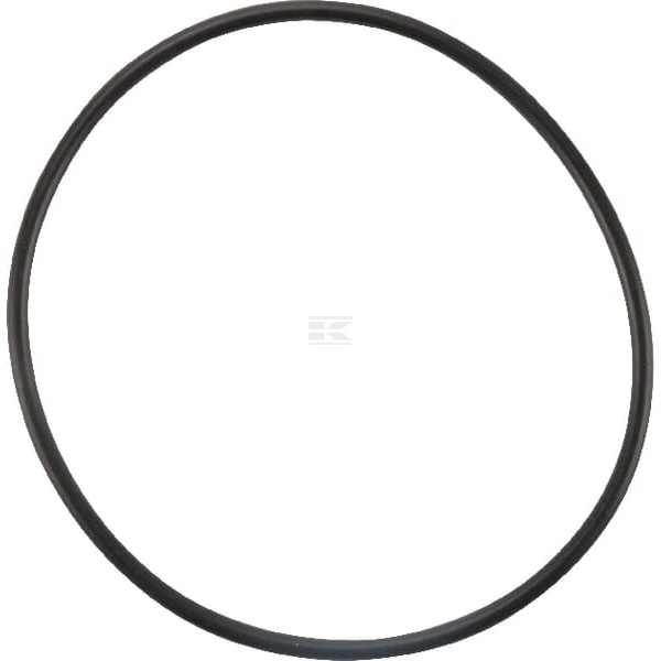 Uszczelka termostatu 4223842 | Exvi