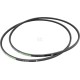 Pasek klinowy AP1005495 | Exvi