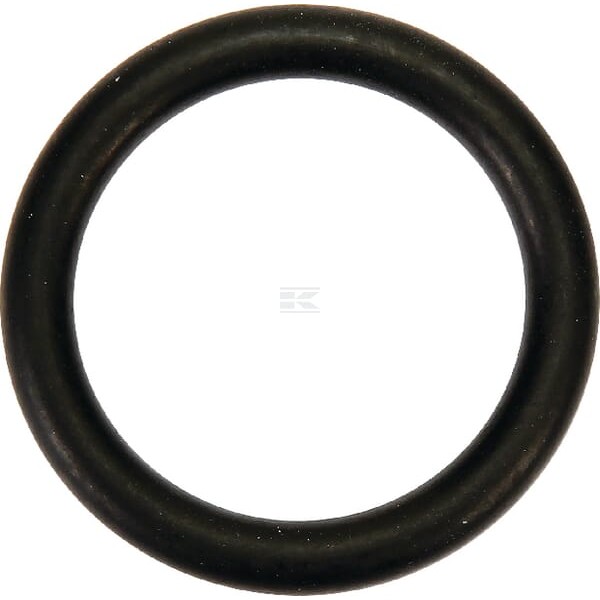 O-ring pompy wody MF V614602950 | Exvi