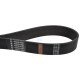 Pasek klinowy 4282010 | Exvi