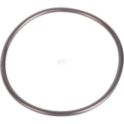 Pierścień uszczelniający o-ring 1441550 | Exvi