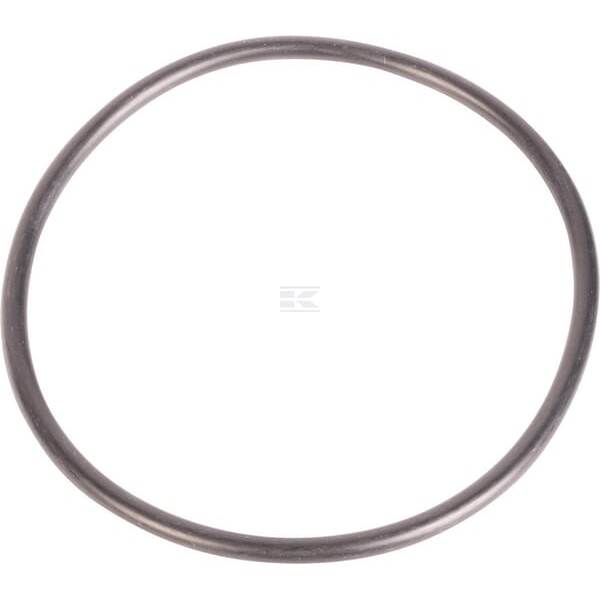Pierścień uszczelniający o-ring 1441550 | Exvi
