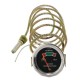 Wskaźnik temperatury 881396M91KR | Exvi