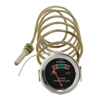 Wskaźnik temperatury 881396M91KR | Exvi